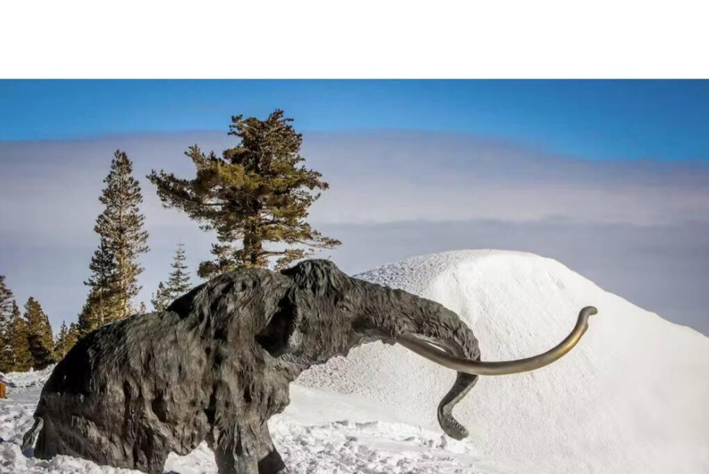 Mammoth Twnhm Hot Tub Walk To Town Mammoth Lakes